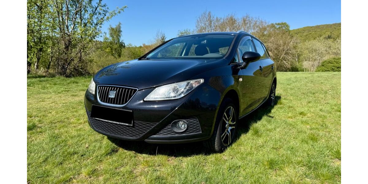 Seat Ibiza 164.000 km 3.500 &euro; Schmitten 61389