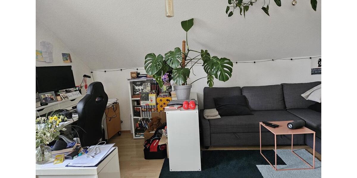 Dachgeschoßwohnung Darmstadt - 2 Zimmer, 55 m&sup2;, 990&euro; | Angebot:26251587