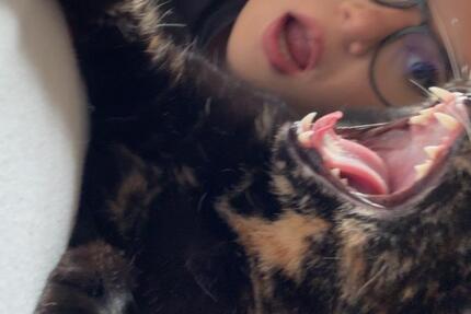 Wohnung in Berlin 2 zimmer