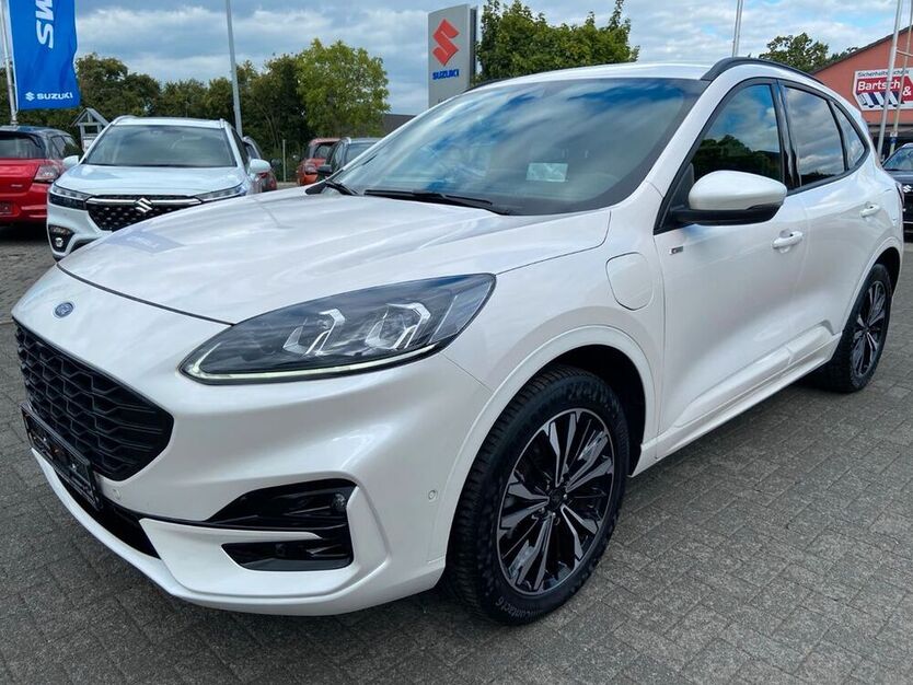 Kuga