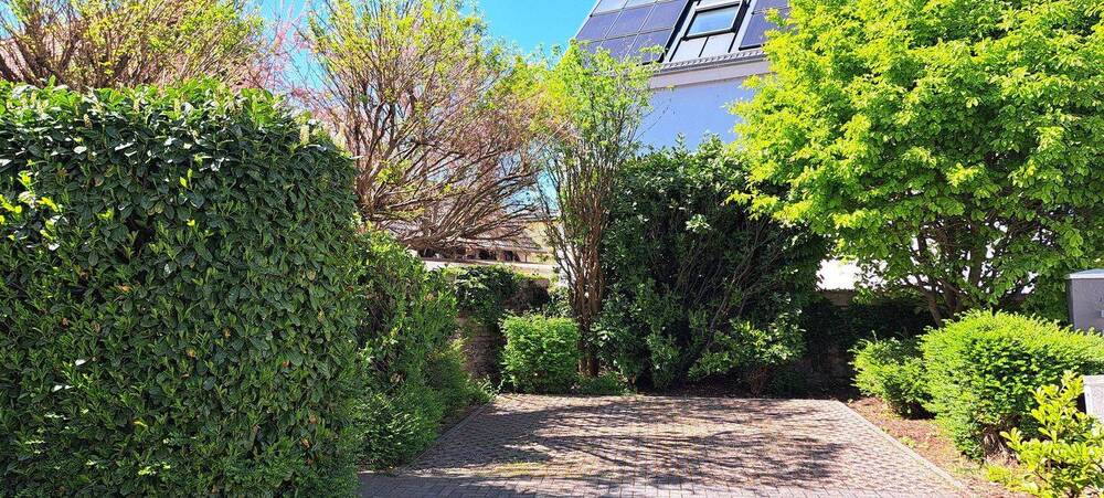 Mehrfamilienhaus, Wohnhaus Aschaffenburg Damm - 9 Zimmer, 239 m&sup2;, 595.000&euro; | Angebot:26757446