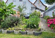 Freistehendes Haus,gepflegt,Super Garten mit Koiteich