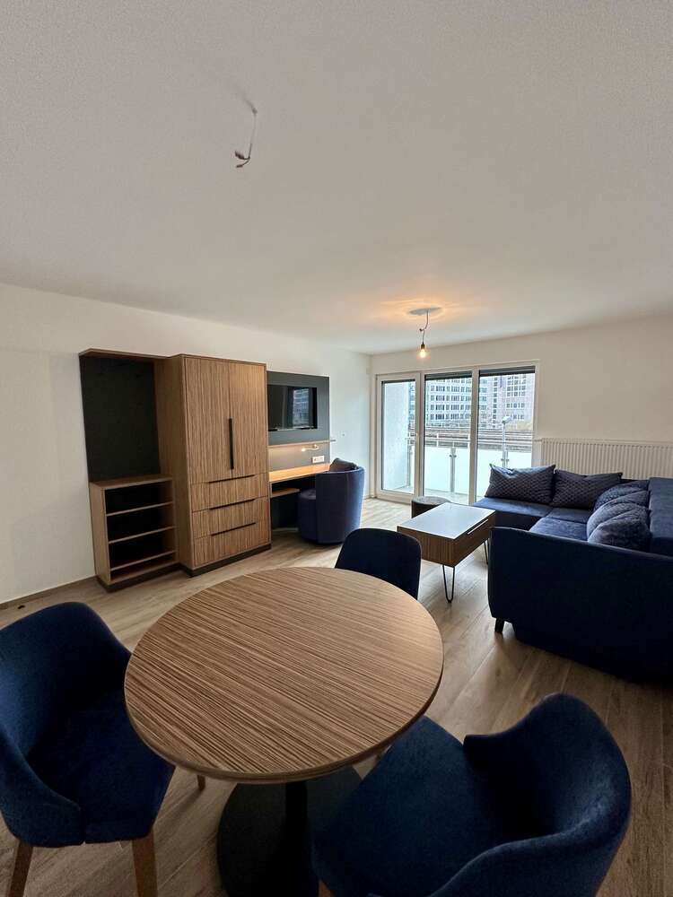 Wohnung zum Mieten in Frankfurt am Main 1.150 € 46.42 m²