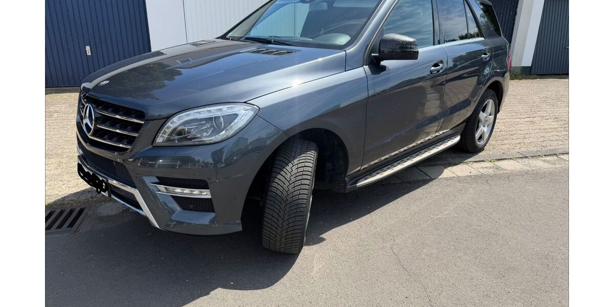 Mercedes-Benz ML 350 172.870 km 17.199 &euro; Sulzbach 65843