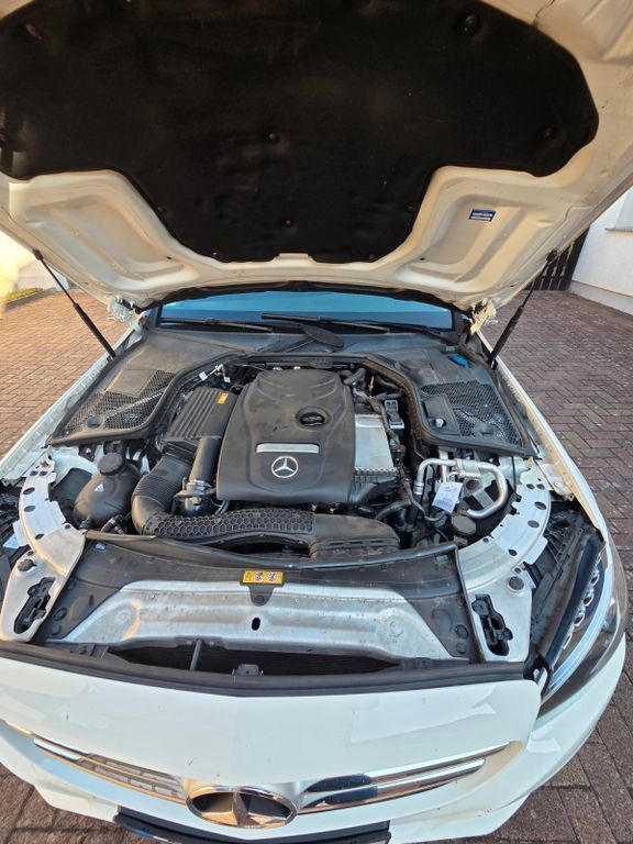 C 250