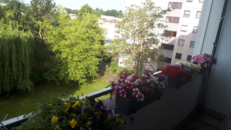 1 Zimmer Wohnung gegen 3 Zimmer Wohnung 1 zimmer