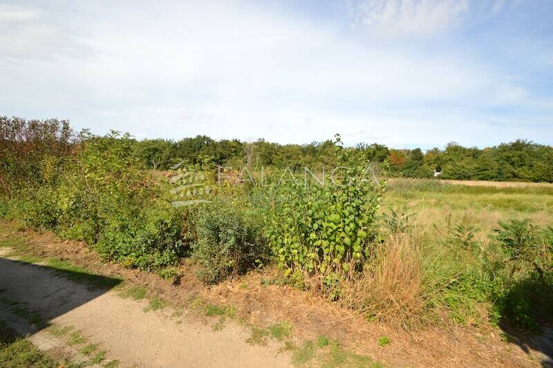 Bungalow Mörfelden-Walldorf / Walldorf Walldorf - 5 Zimmer, 160 m&sup2;, 649.000&euro; | Angebot:23982840