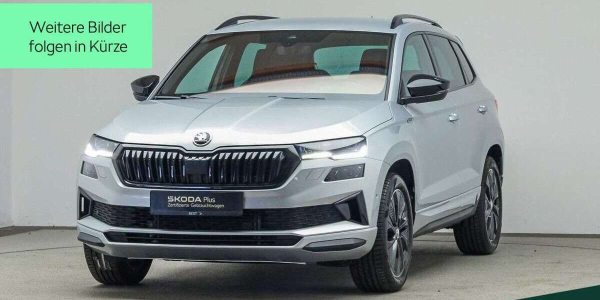 Skoda Karoq 54.100 km 29.999 &euro; Mühlheim a. Main 63165