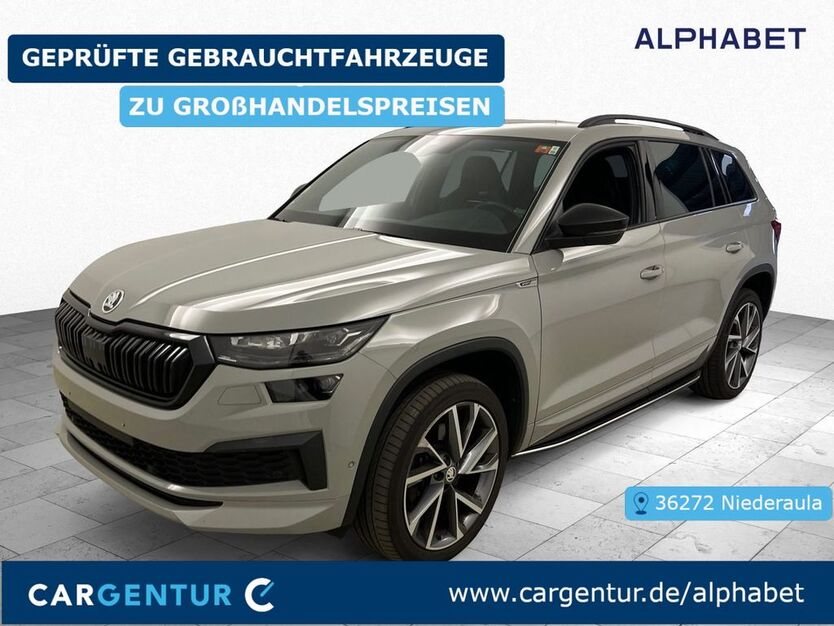 Skoda Kodiaq 140.263 km 30.707 € Frankfurt 60596
