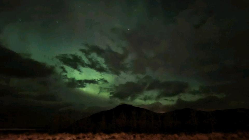 Reihenhaus in Island 6 zimmer