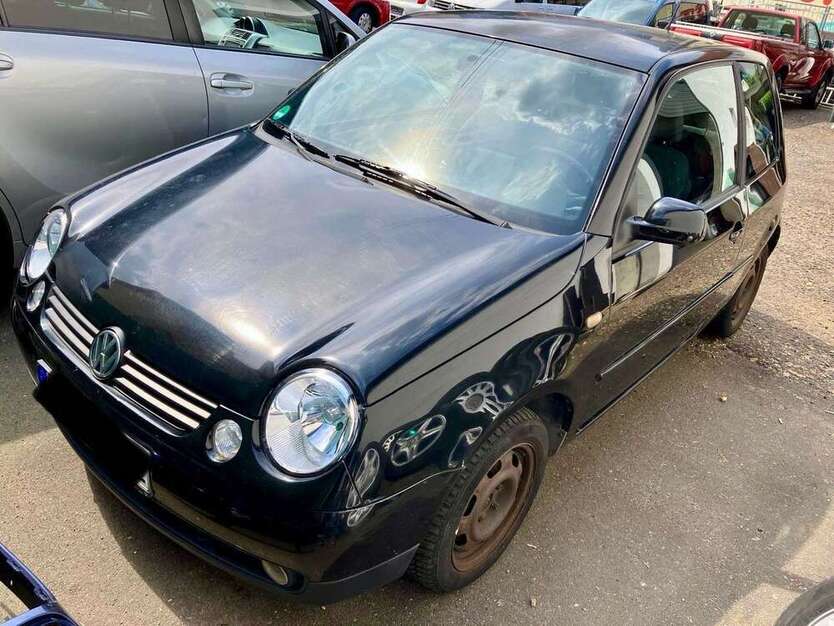 Lupo