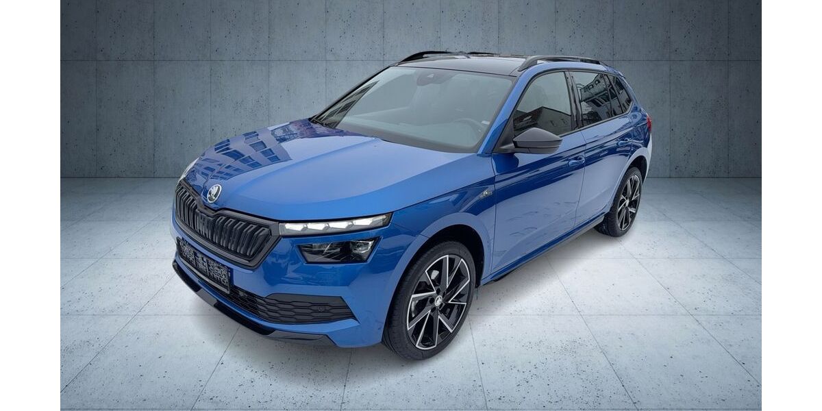 Skoda Kamiq 91.660 km 20.880 &euro; Frankfurt am Main 60528