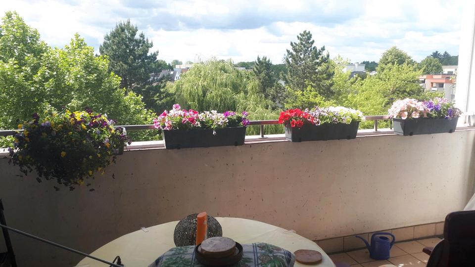 1 Zimmer Wohnung gegen 3 Zimmer Wohnung 1 zimmer