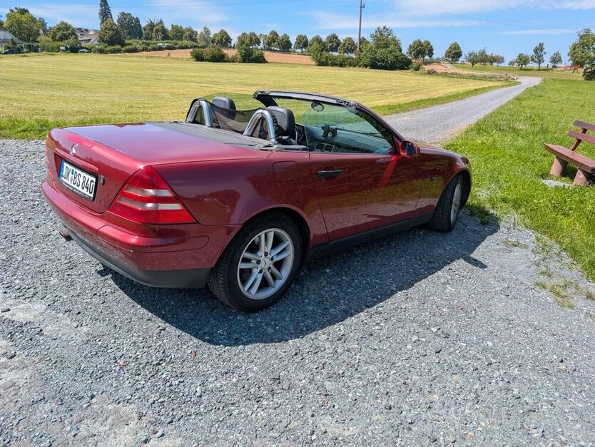 230