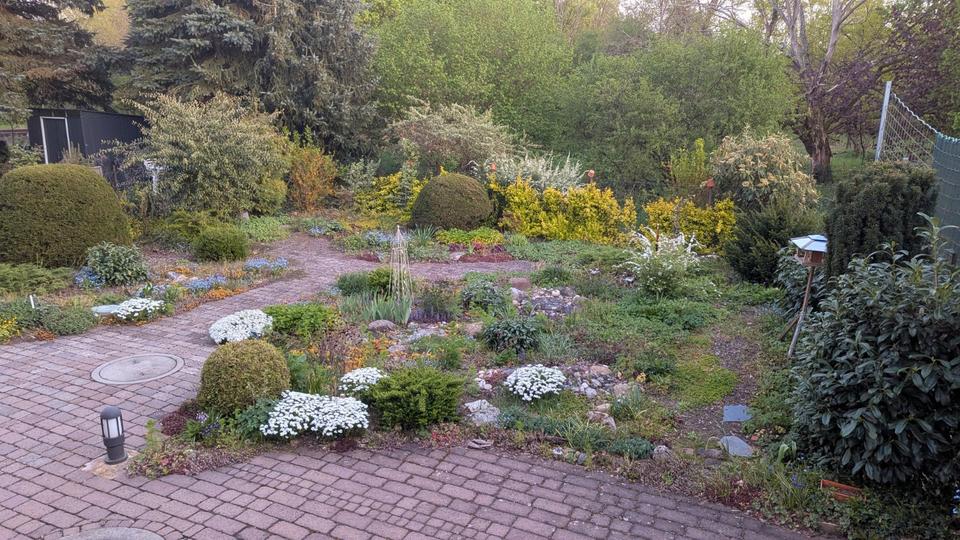 Erdgeschoßwohnung Offenbach am Main Bieber - 2 Zimmer, 82 m&sup2;, 1.300&euro; | Angebot:26262333