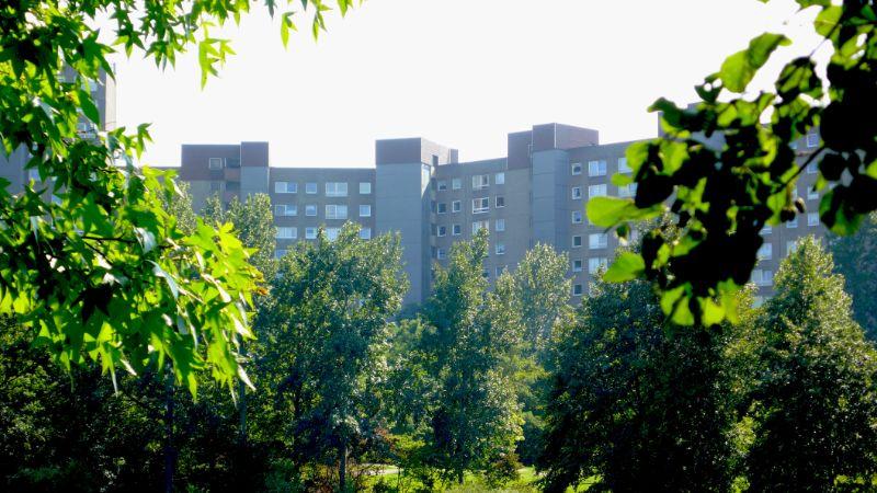 Etagenwohnung Darmstadt Darmstadt-Nord - 3 Zimmer, 77 m&sup2;, 829&euro; | Angebot:26588501