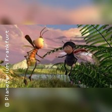 Das Geheimnis der Bäume 23.11.2025 Planetarium Frankfurt