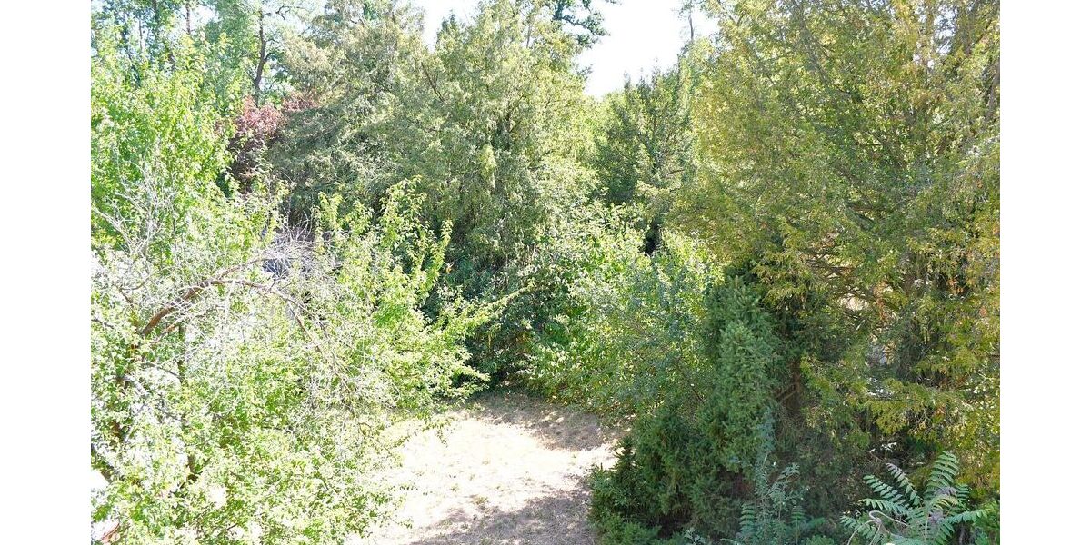 **RESERVIERT** Ein- bis Zweifamilienhaus mit viel Platz in Darmstadt-WaldkolonieWeststadt - Einfamilienhaus Darmstadt Darmstadt/Viertel | Angebot:27196846