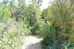 **RESERVIERT** Ein- bis Zweifamilienhaus mit viel Platz in Darmstadt-WaldkolonieWeststadt - Einfamilienhaus Darmstadt Darmstadt/Viertel | Angebot:27196846