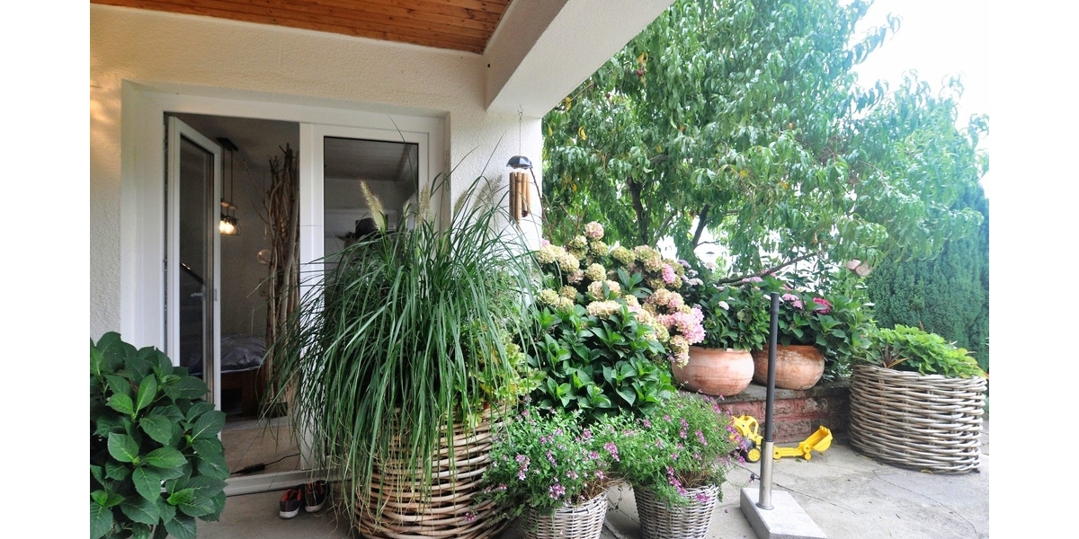 Mehrfamilienhaus mit Bauplatz in Ruppertshain 11 zimmer