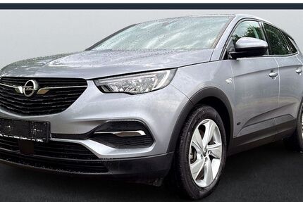 Opel Grandland (X) 32.849 km 21.055 € Flörsheim am Main 65439