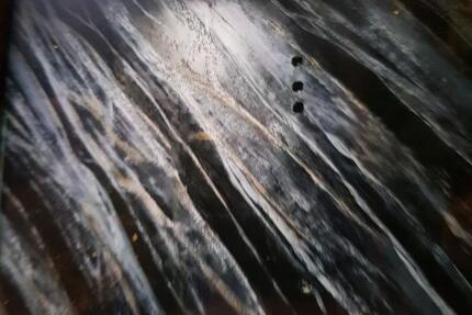 Provisionsfrei! 1 zimmer