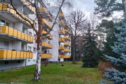 2 Zimmer Wohnung Offenbach Westend 2 zimmer