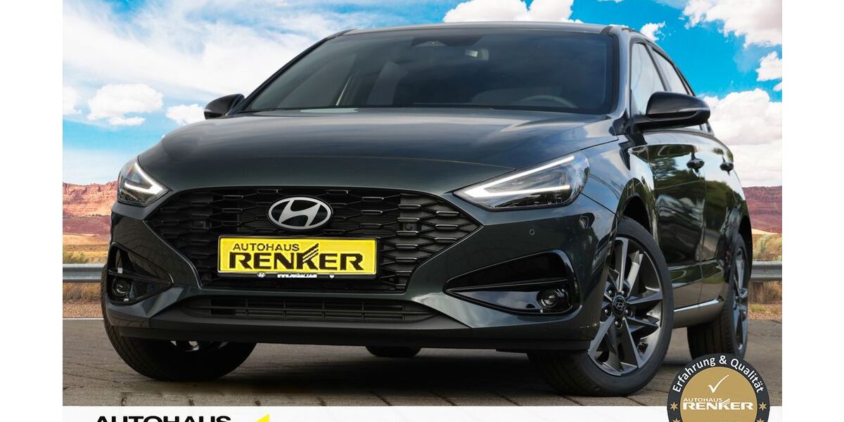 Hyundai i30 1.200 km 24.490 &euro; Darmstadt 64291