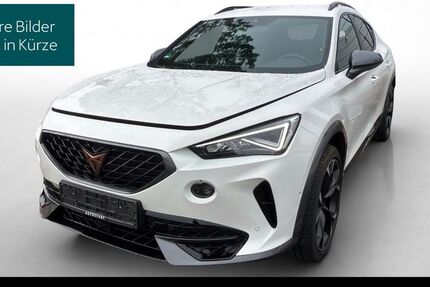 Cupra Formentor 23.676 km 28.940 &euro; Hofheim-Diedenbergen 65719