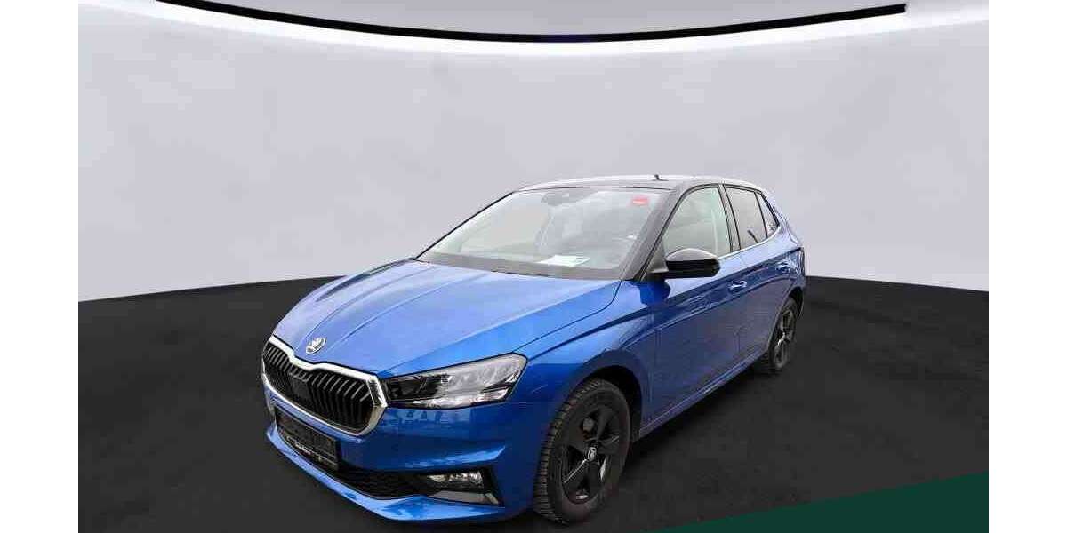 Skoda Fabia 58.800 km 15.999 &euro; Mühlheim a. Main 63165
