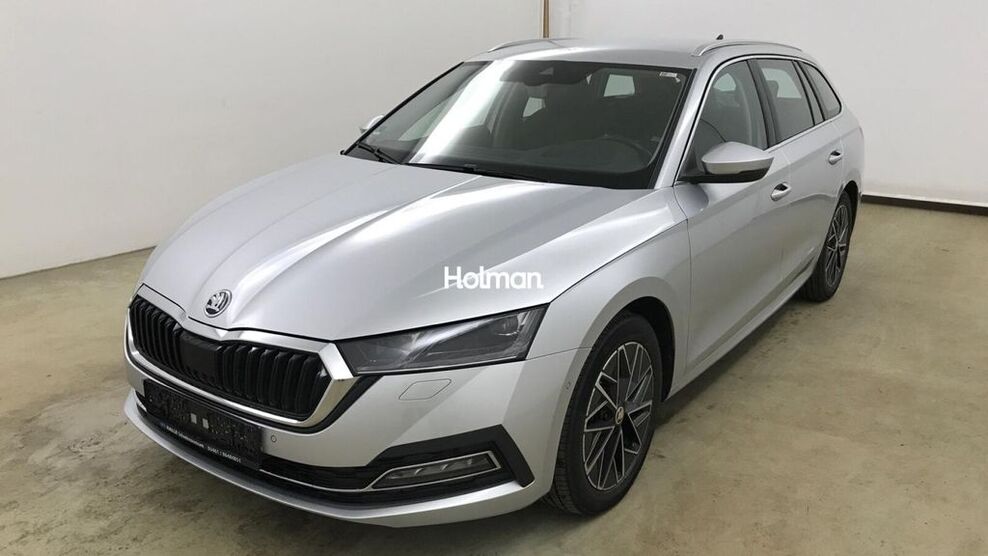 Skoda Octavia 162.833 km 17.194 € Eschborn 65760