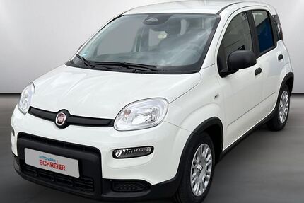Fiat Panda 3.000 km 16.495 € Bad Nauheim 61231