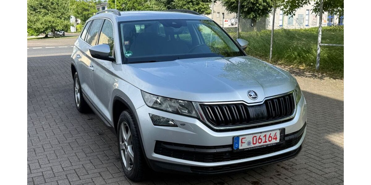 Skoda Kodiaq 209.654 km 14.300 &euro; Friedberg (Hessen) 61169