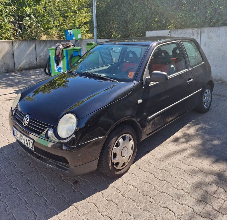 Lupo
