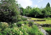 Privatheit und Ruhe: Bauhaus-inspiriertes Einfamilienhaus in bester Taunus-Lage Privatheit und Ruhe: Bauhaus-inspiriertes Einfamilienhaus in bester Taunus-Lage