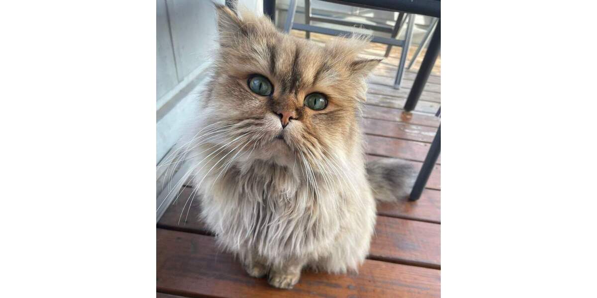 Ruhig wohnen: 2-Zimmer-Dachgeschosswohnung mit Balkon 2 zimmer