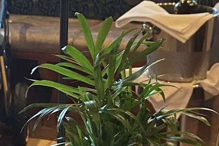 Gewerbeobjekt Kelkheim - 1.150.000&euro; | Angebot:25907248