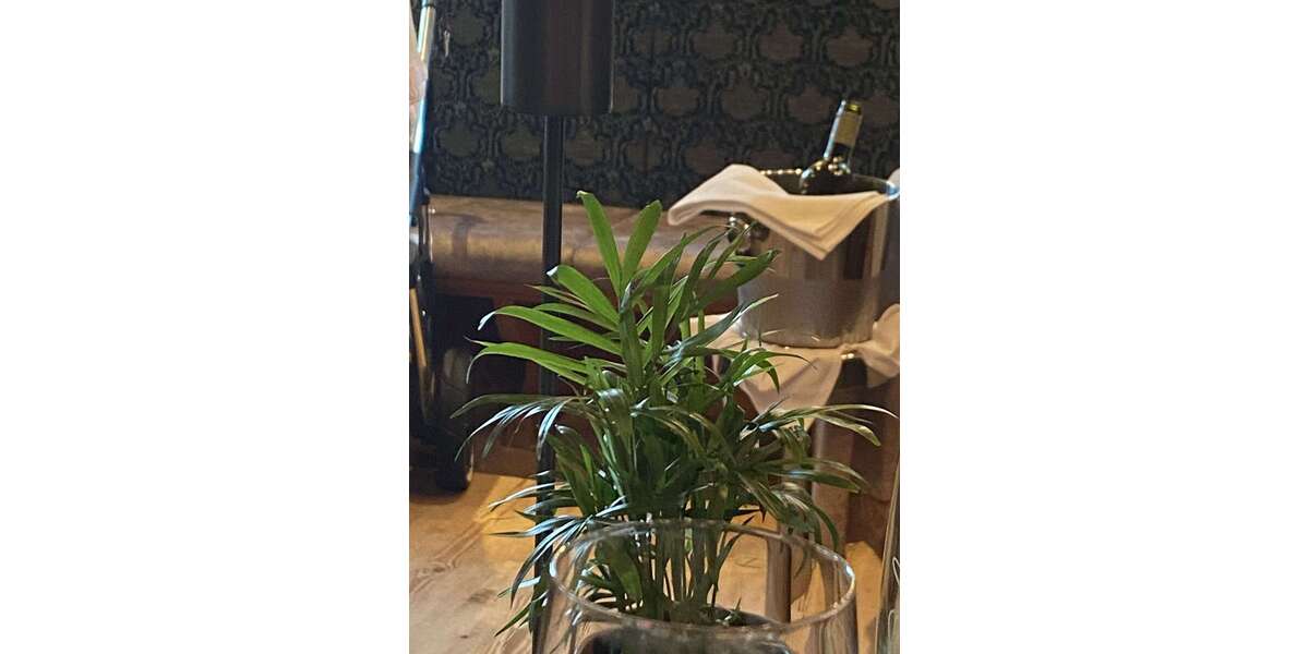 Gewerbeobjekt Kelkheim - 1.150.000&euro; | Angebot:25907248