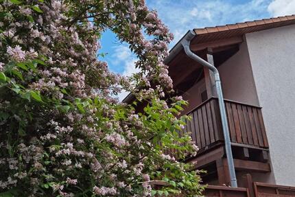 Wohnung Karlstein am Main - 5 Zimmer, 117 m&sup2;, 1.285&euro; | Angebot:24794511