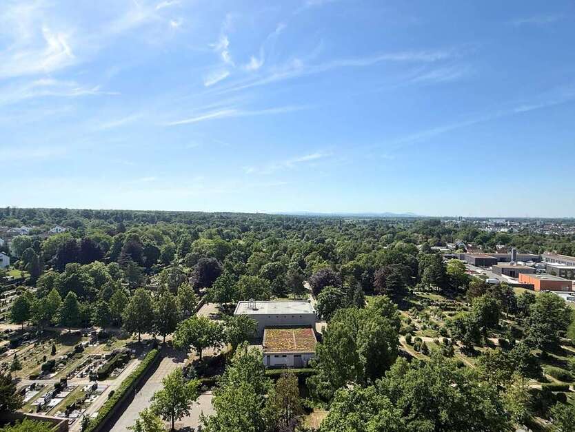 Wohnung zum Kaufen in Langen 97.000 € 36 m²