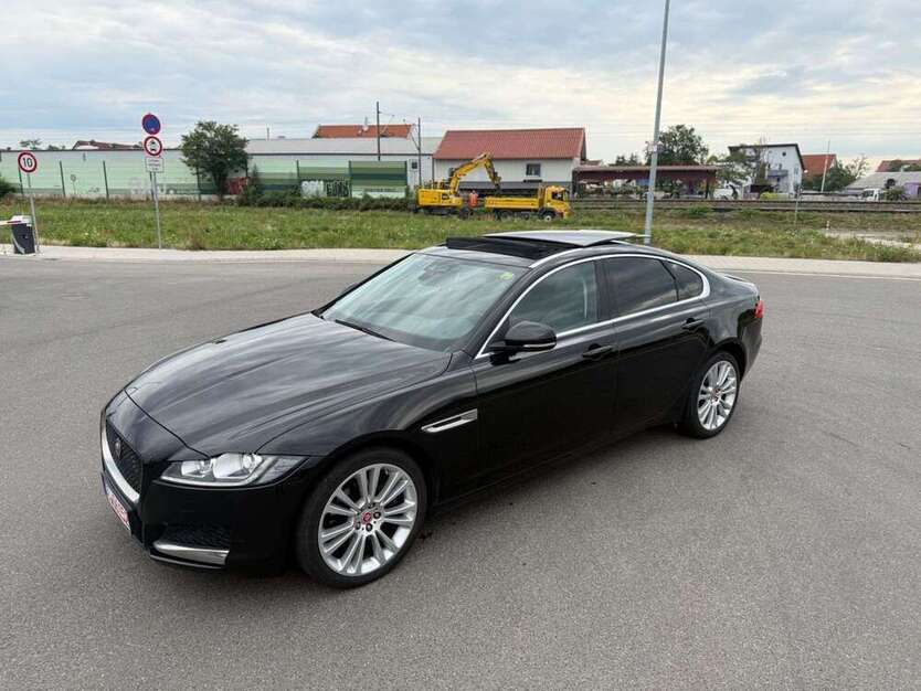 XF
