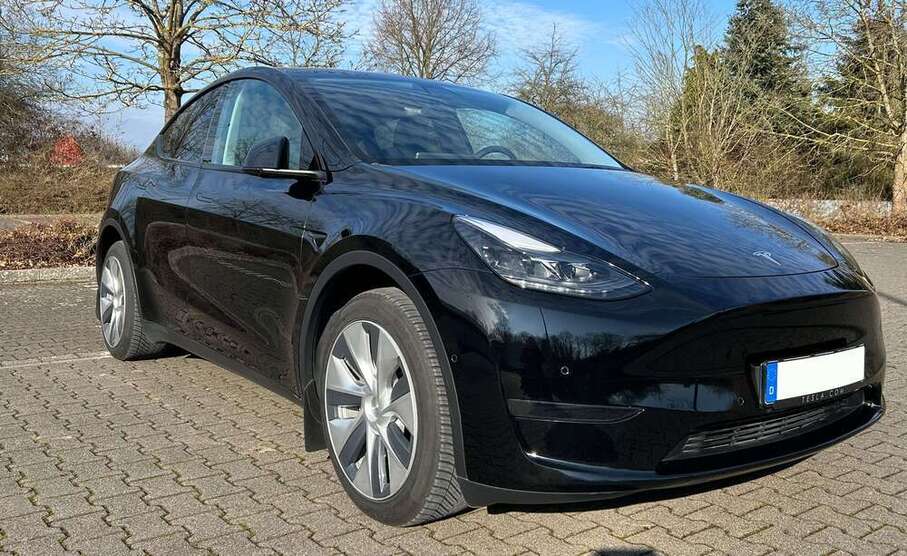 Model Y