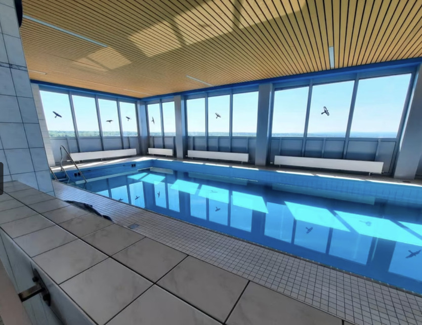 3-Zi-Whg. + Weitblick Schwimmbad inkl.