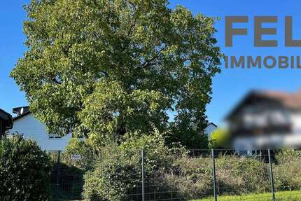 Grundstück zu verkaufen in Dieburg 510.000 € 585 m² zimmer