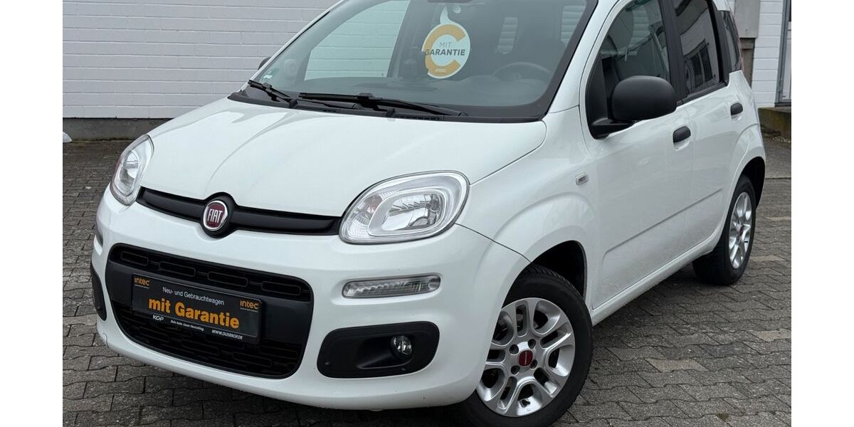 Fiat Panda 81.000 km 8.900 &euro; Kelkheim 65779