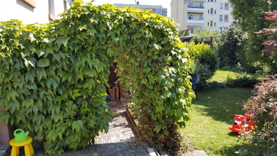 Einfamilienhaus Offenbach am Main Bieberer Berg - 4 Zimmer, 102 m&sup2;, 500.000&euro; | Angebot:26166517