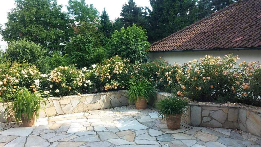 Rarität in gesuchtem Wohngebiet - Stilvoll sanierter Altbau - Buchraingebiet! 9 zimmer