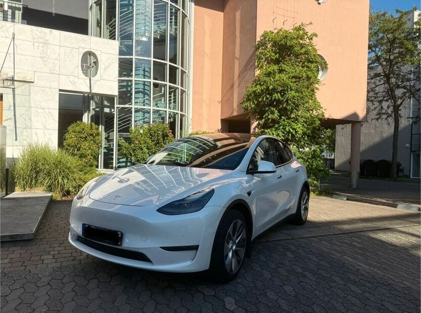 Model Y