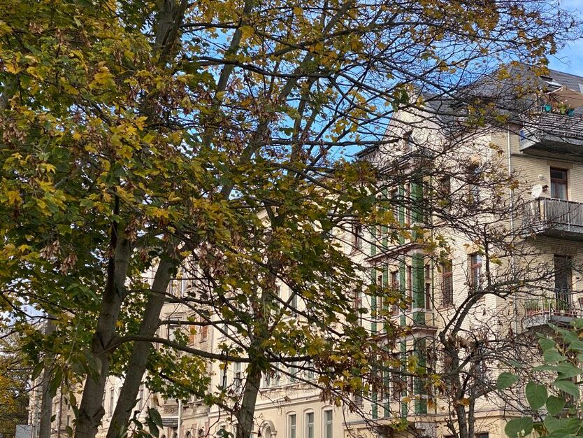 Dachgeschoß -auf 2 Ebenen - 1 Monat mietfrei - 3 Zi - zentrumsnah - Fahrstuhl