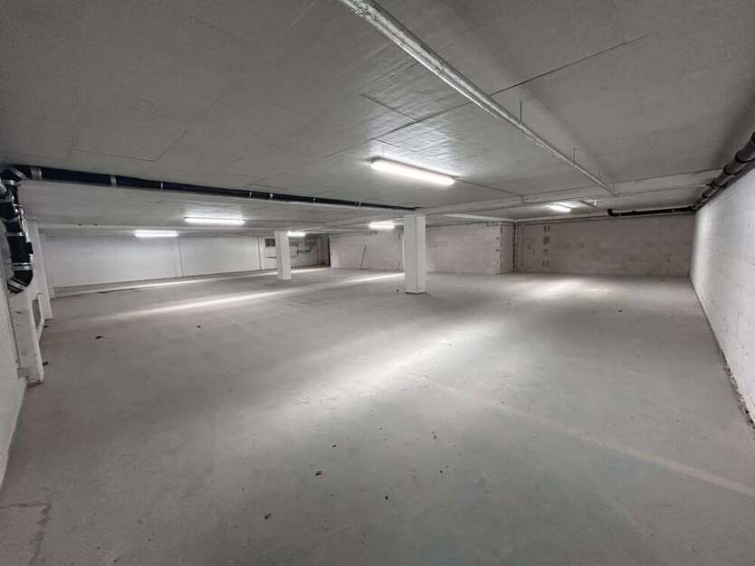 Halle in Aschaffenburg 1.500 € 300 m²